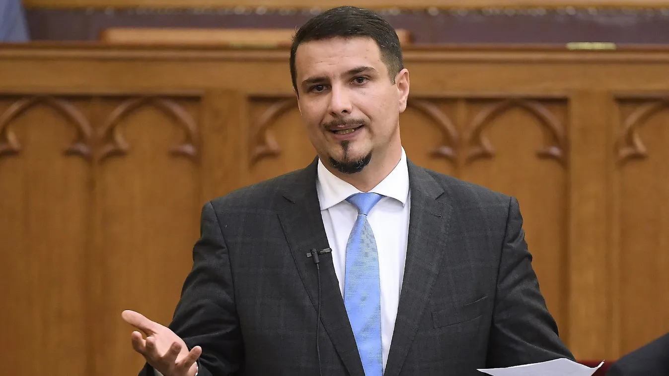 Mesterházy Attila frakcióvezető lett a NATO-ban