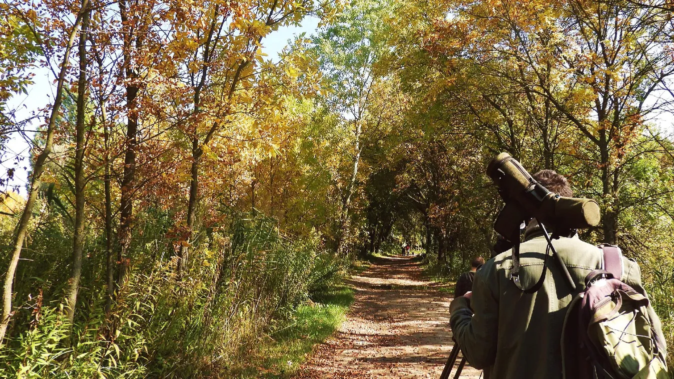 Változékonyabb, de továbbra is enyhe idő várható a héten