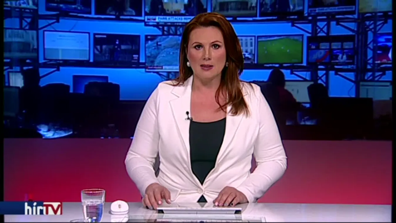 Több százezres büntetést kaphat a bevándorlásellenes párt