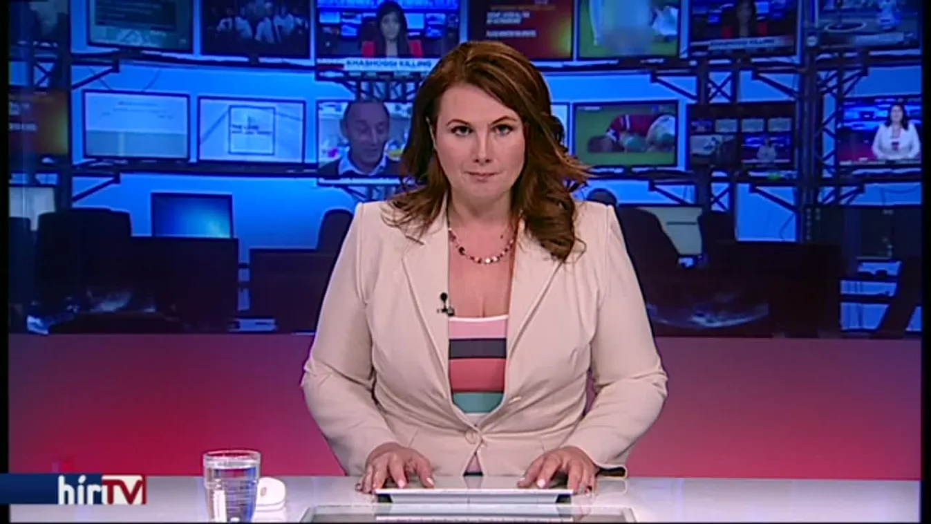 Verhofstadt óriásplakátjával kampányol a Momentum