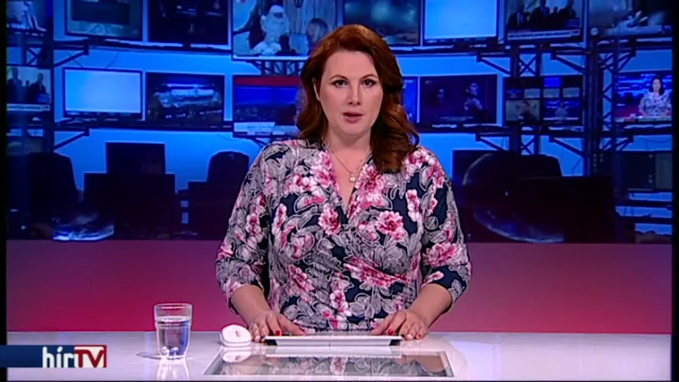 Vona: A lemondással lezárult a Szávay-ügy