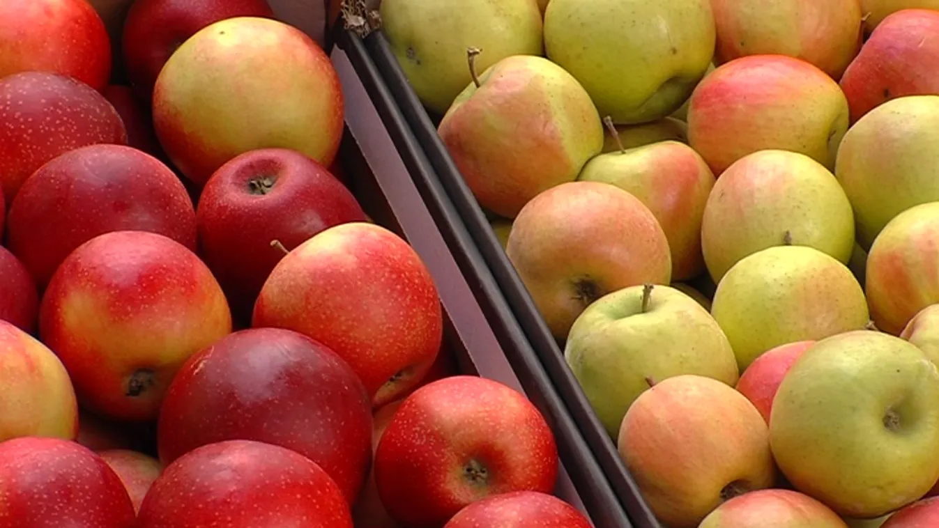 Fontos, hogy a hazait válasszuk