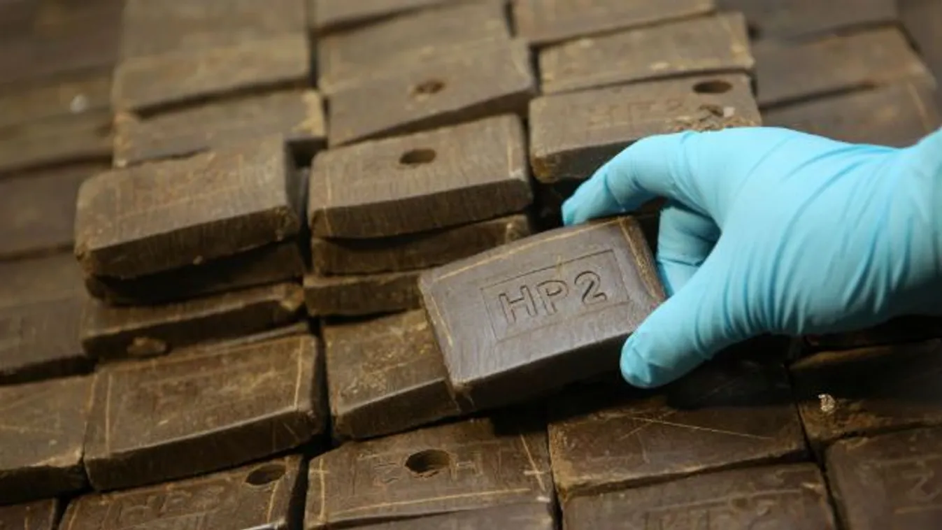 Hasis volt a szójabab