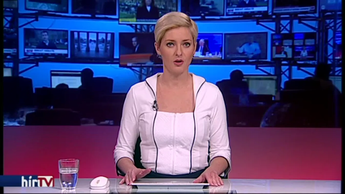 Gyöngyösi Mártont is lemondatná a Tett és Védelem