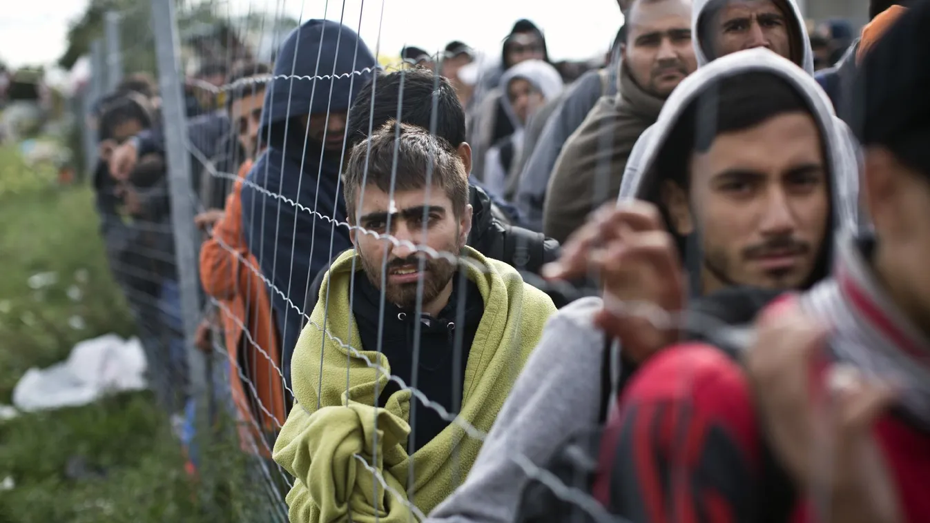 A bevándorlók gyengének és átalakíthatónak gondolják Európát