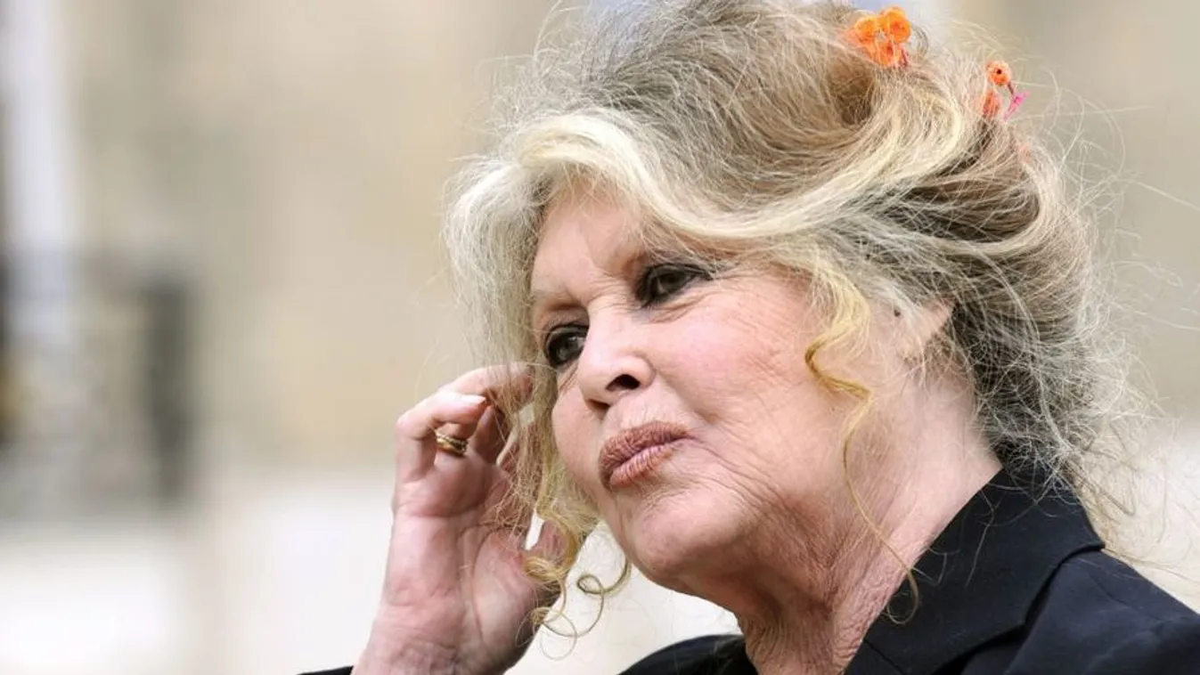 Brigitte Bardot karácsonyi csodát kér Emmanuel Macrontól