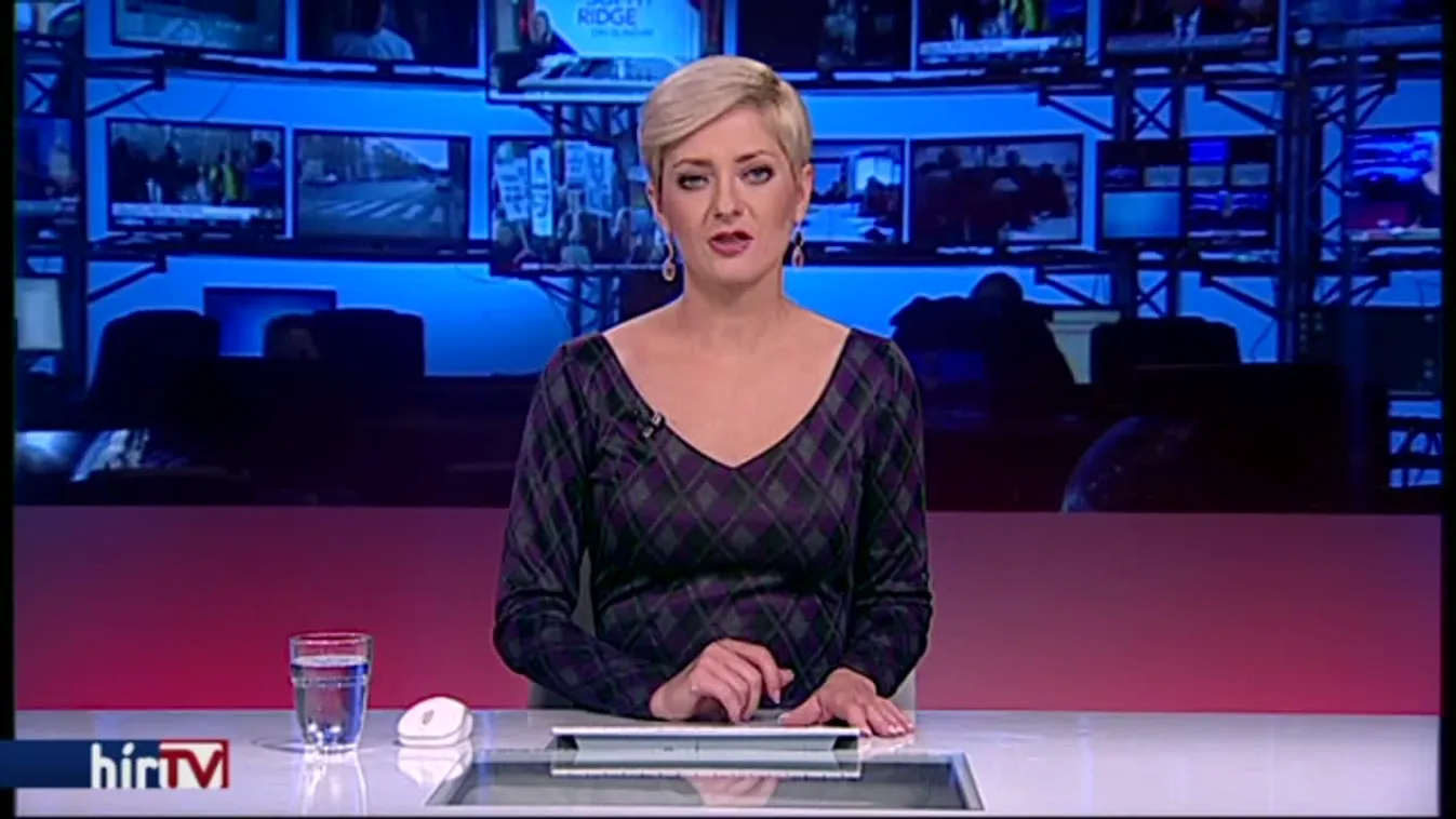 Deutsch: Ámokfutásba kezdett az Európai Parlament bevándorláspárti többsége