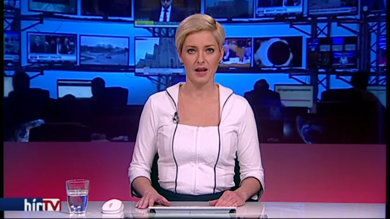 Francia mintára tüntetne a magyar balliberális oldal