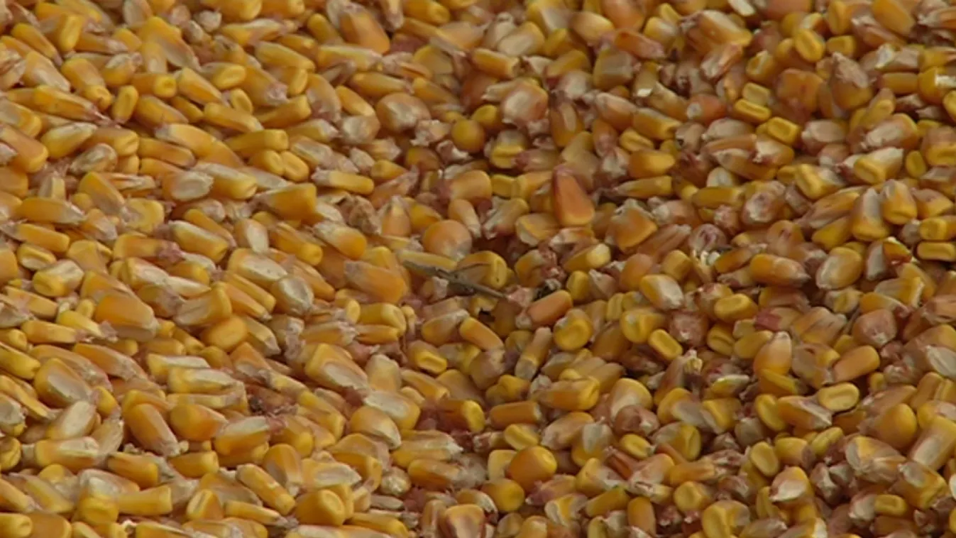 Van még mit javítani