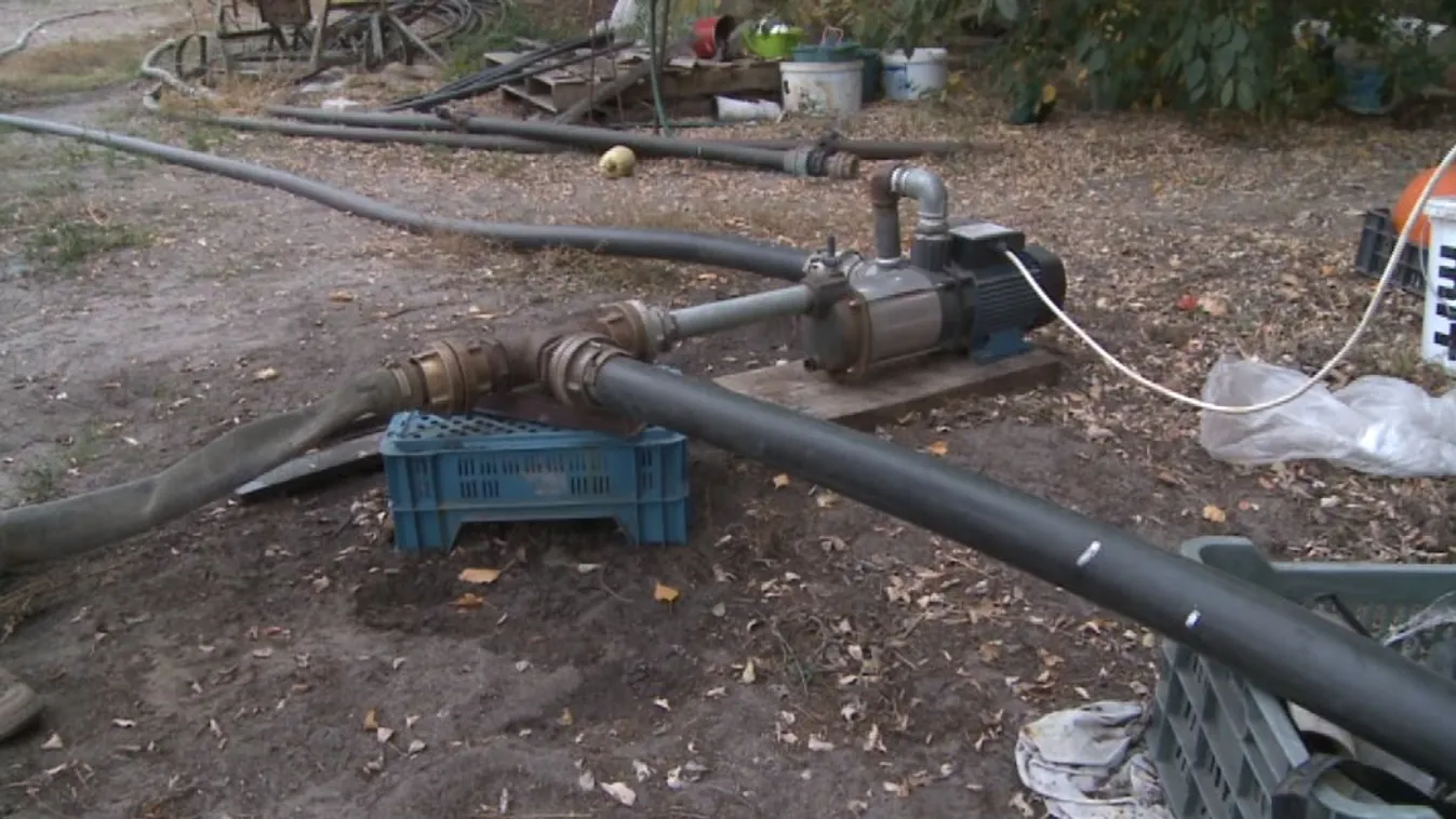 Jó tanács a kutasoknak: dőljenek hátra, várják a tavaszi ülésszakot