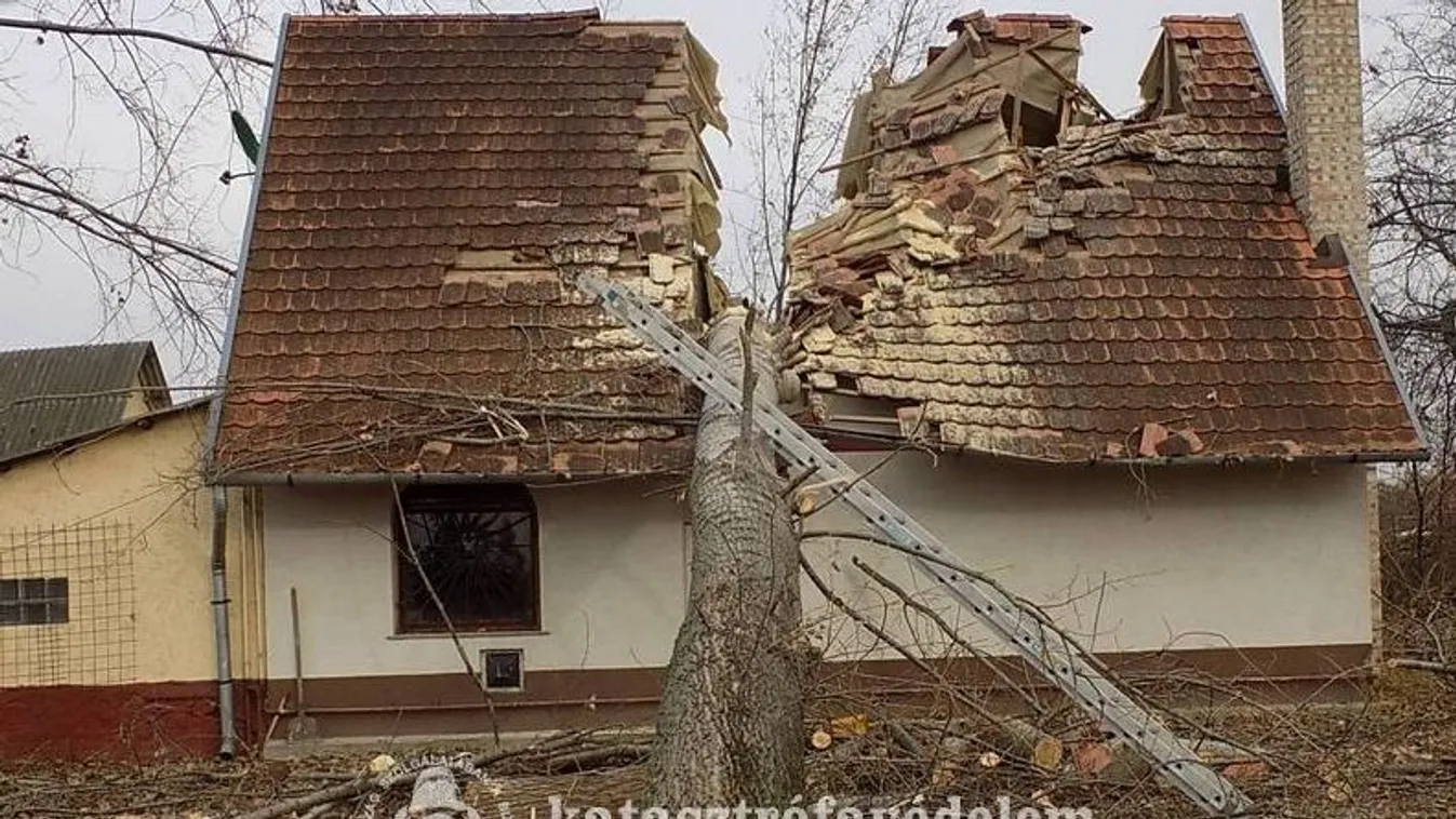 Kettévágott egy családi házat egy kidőlt fa