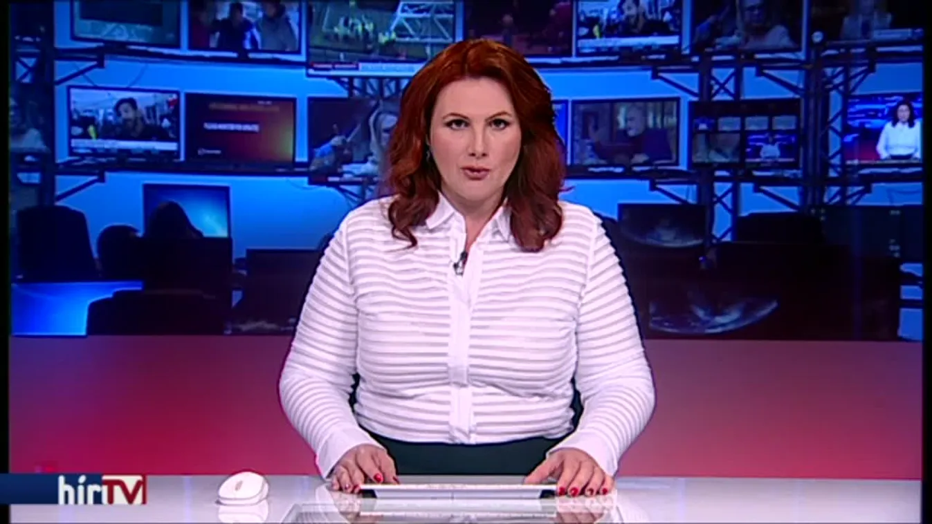 Negyven iszlamistával végeztek az egyiptomi erők a vietnami turisták elleni merénylet másnapján