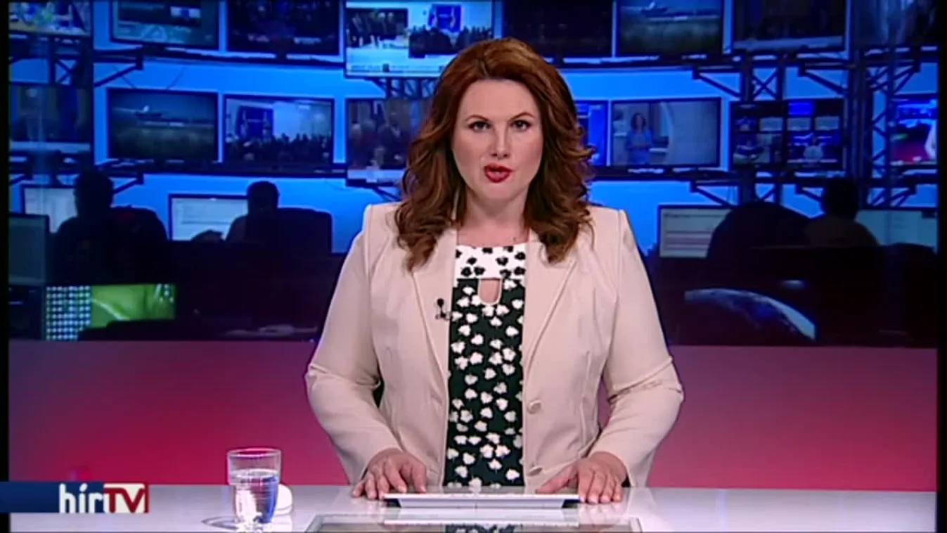 A kormánynak elsődleges a Nagy-Britanniában élő magyarok jogvédelme