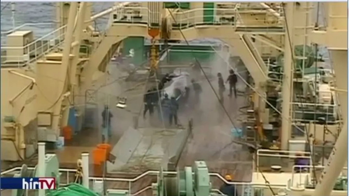 Japán hivatalosan is kilépett a bálnavadászatot korlátozó egyezményből