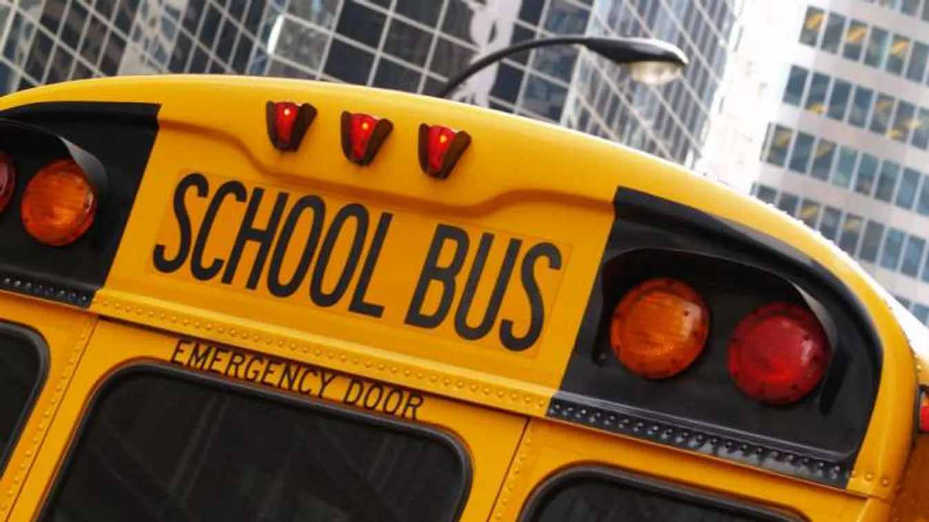 A II. kerületben indul a iskolabuszprogram mintaprojektje