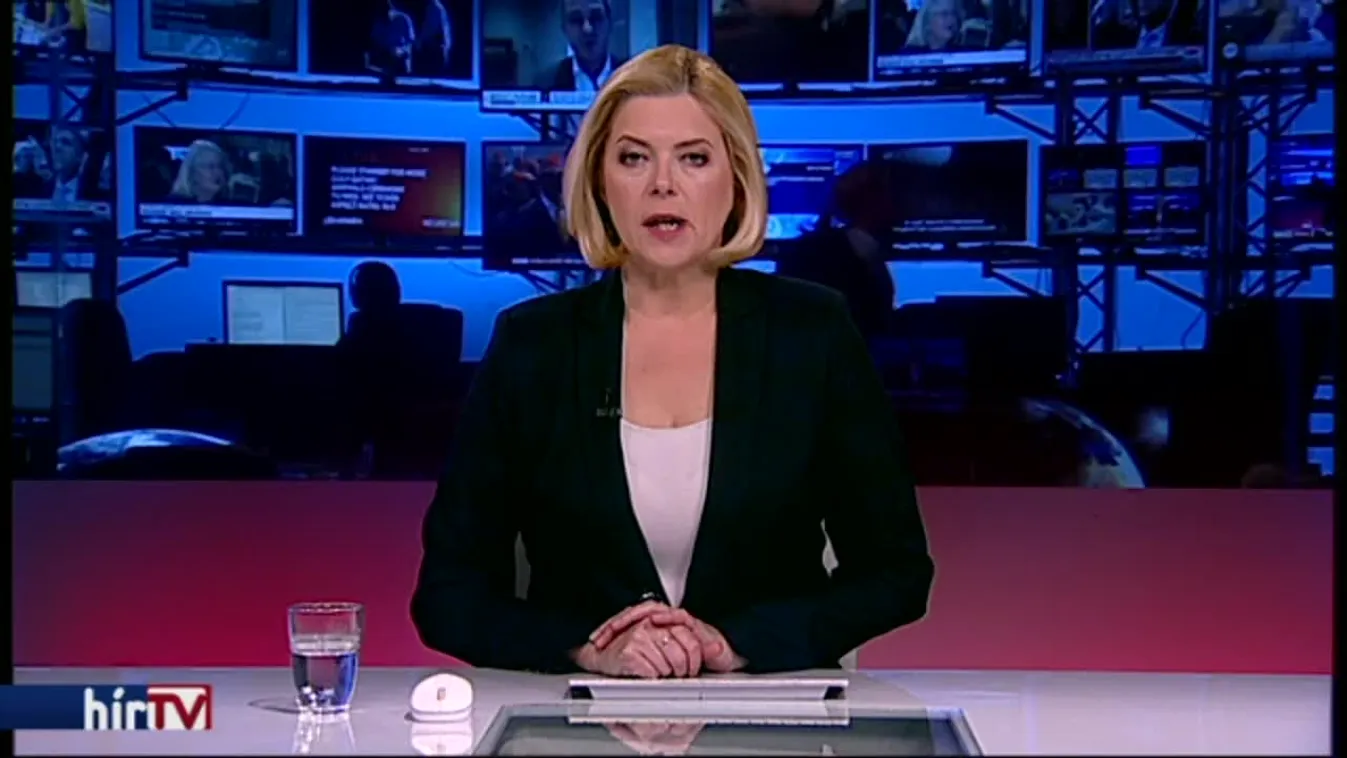 Kettévágott egy családi házat egy kidőlt fa