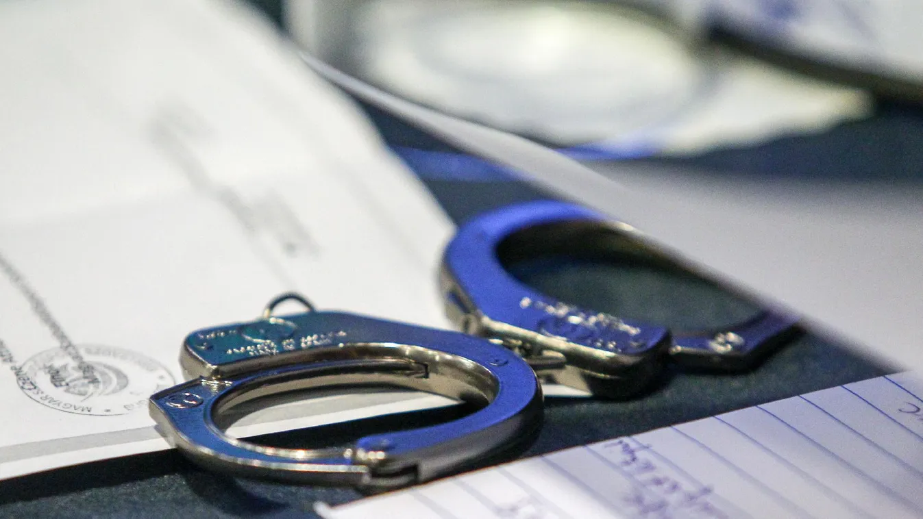 Húsz év, több mint félezer veszélyes bűnöző