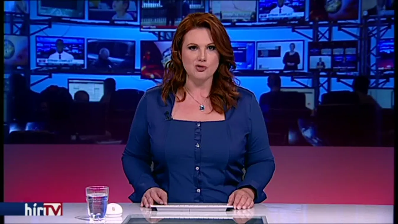 Hidvéghi: A kormánypártok felkészültek az EP-választásra