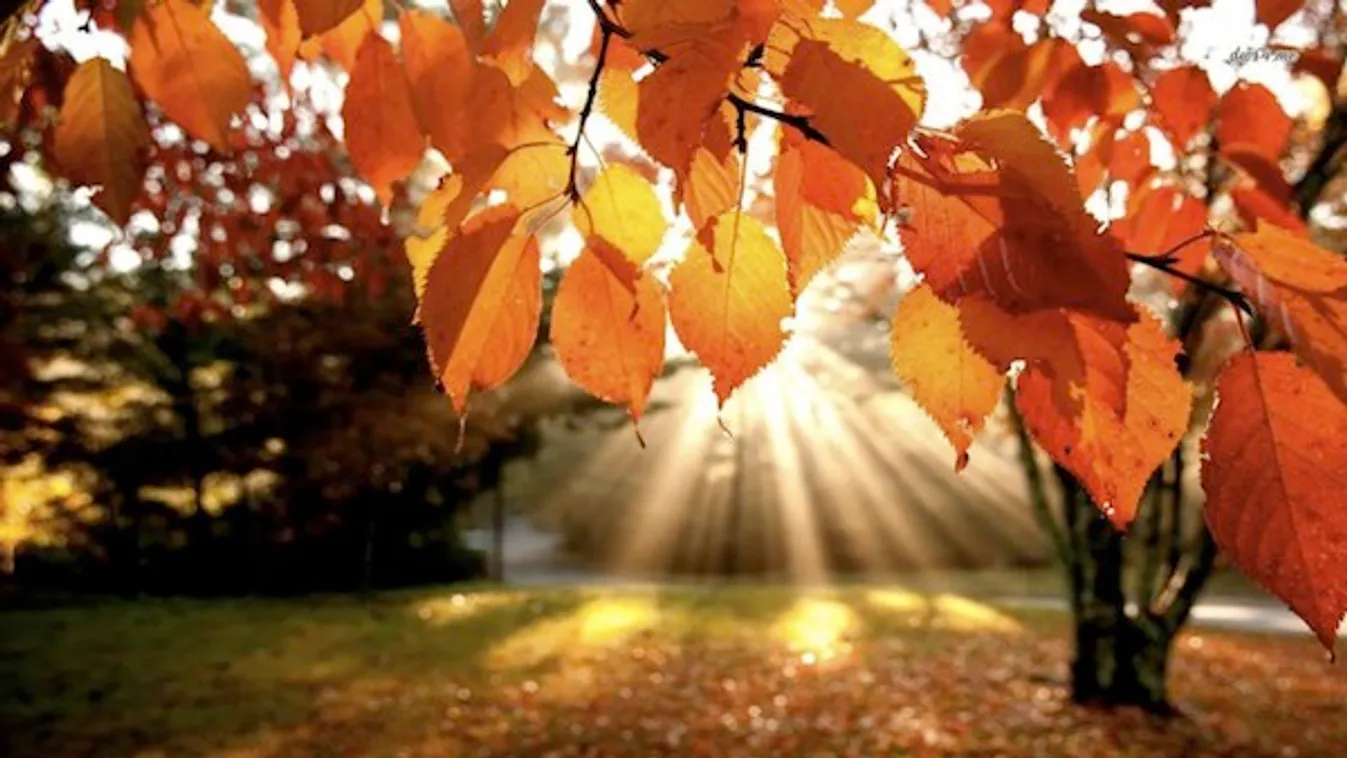 1901 óta ez volt a második legmelegebb ősz