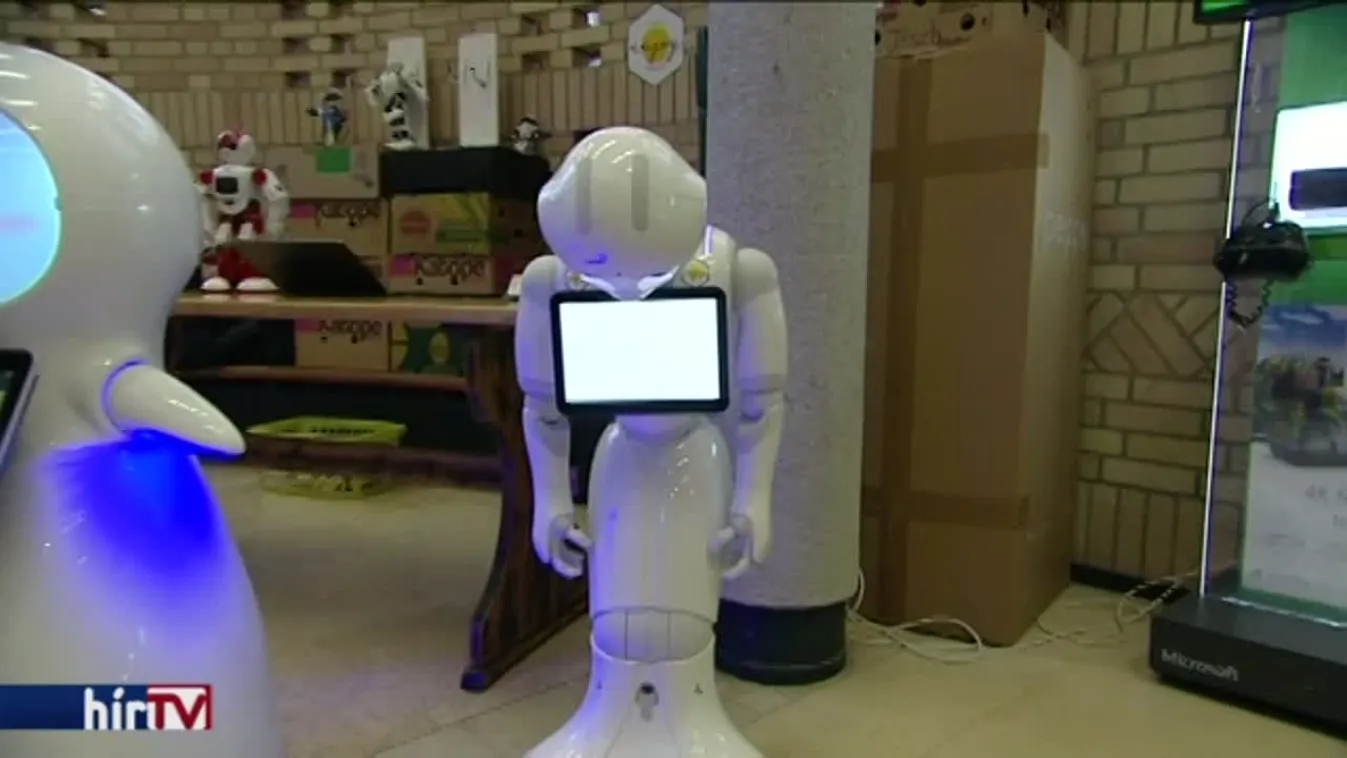 Embernagyságú robotokkal is találkozhattak egy budapesti gimnáziumban