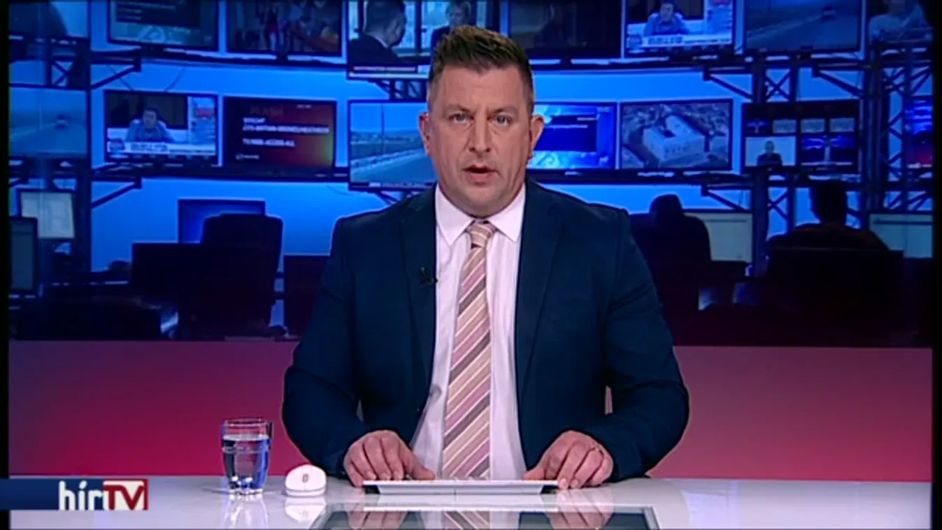 „Félholtra verték” az AfD brémai tartományi vezetőjét