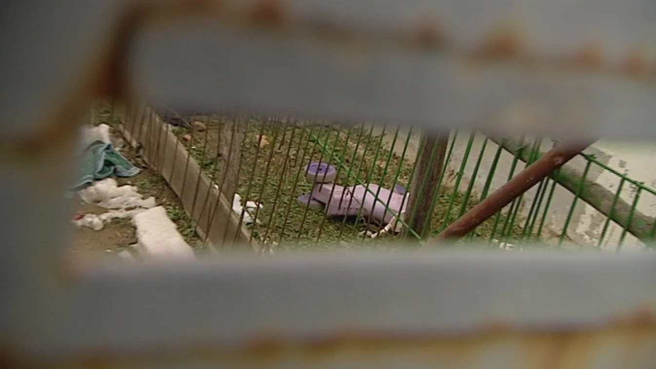 A káptalanfai vérengzés részletei