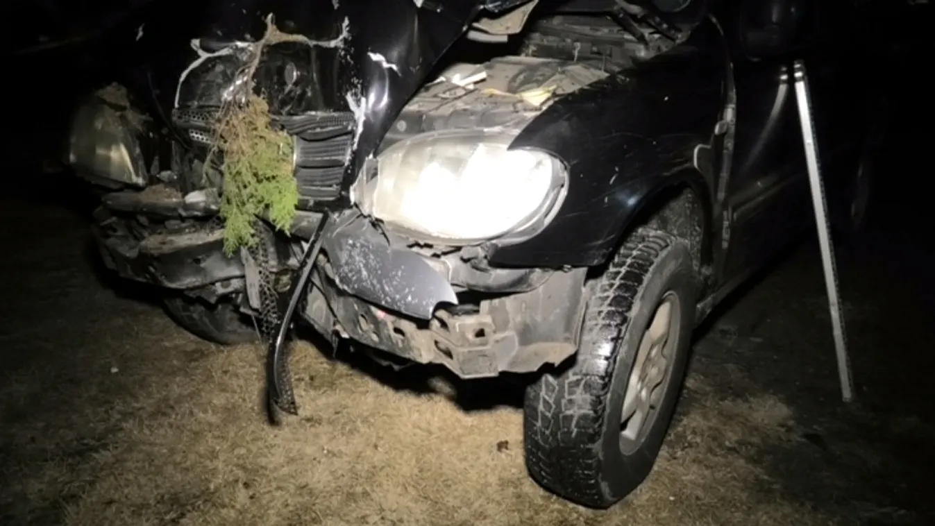 Fékezés nélkül csapódott a háznak, nem élte túl