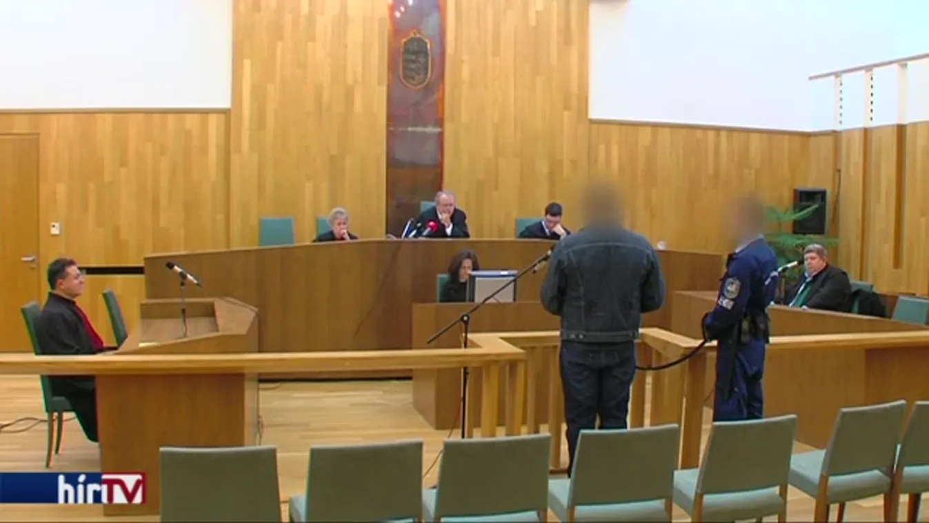 Életfogytiglant kapott a túronyi baltás gyilkos