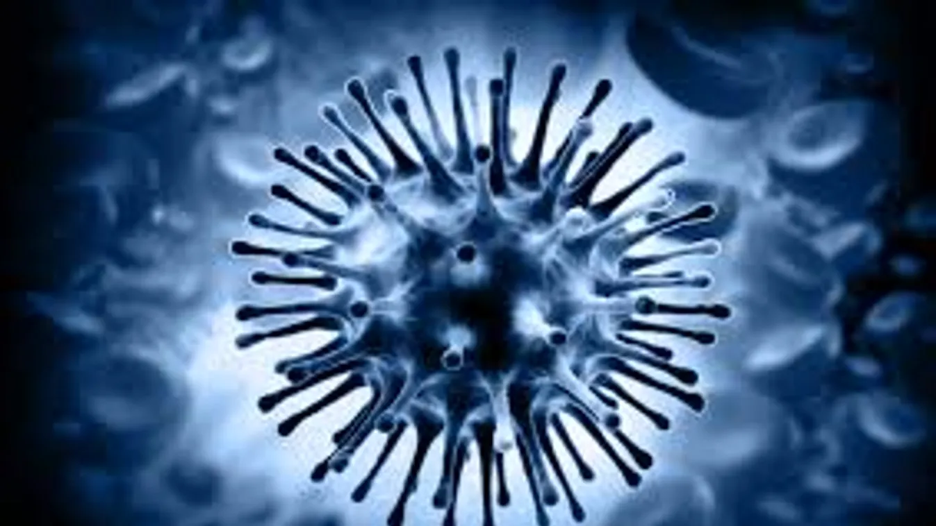 Már hét halálos áldozata van az influenzajárványnak Horvátországban