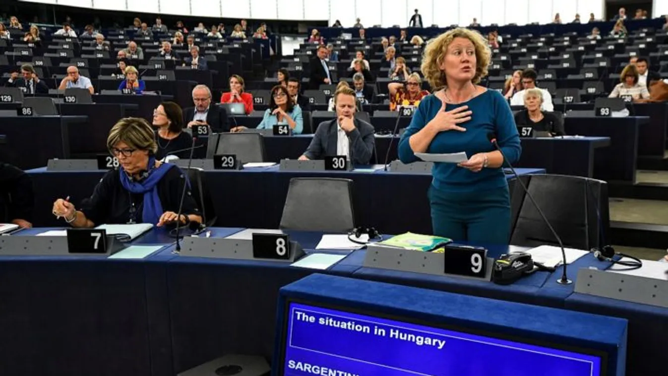 Lomnici: Érthetetlen a zöldpárti eljárás