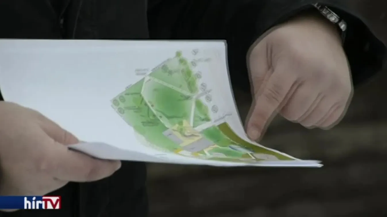 Vadmadárkórházat hoznak létre Székesfehérváron