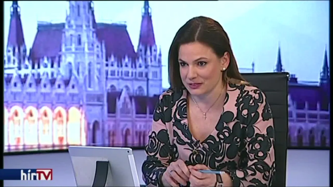 Magyarország élőben – Háttér