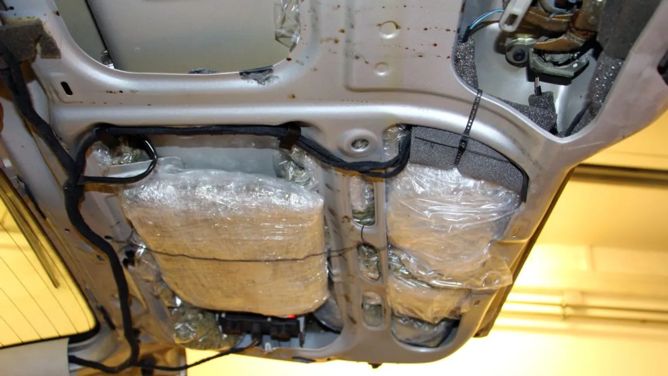 Zavart viselkedésük lett a vesztük