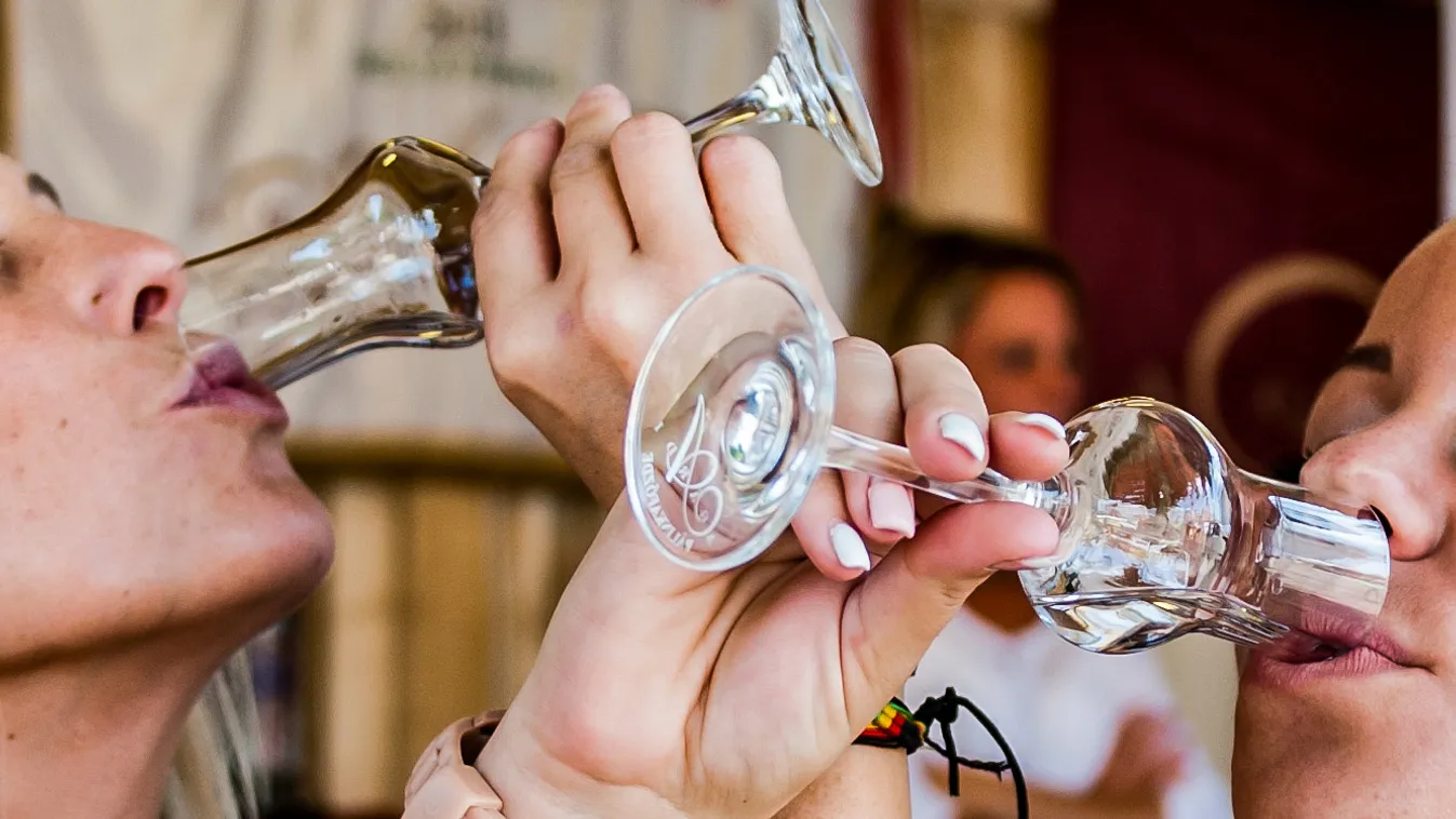 Több mint 8 millió liter párlatot készítettek a bérfőzdék