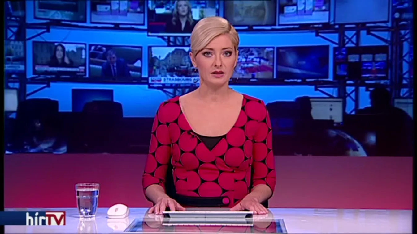 Az Árpád híd közepén hagyta kocsiját, majd a Dunába vetette magát