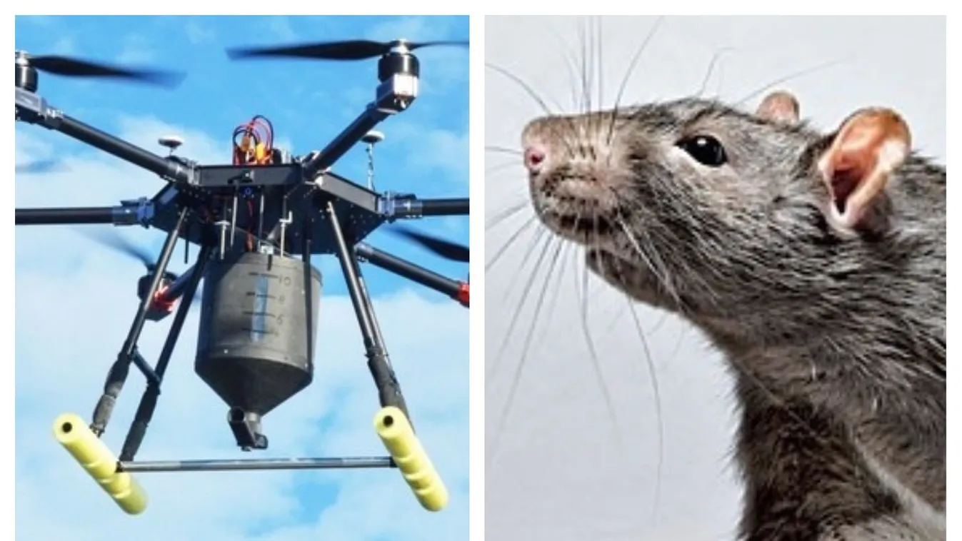 Drónokkal irtják a kártevőket Darwin paradicsomában