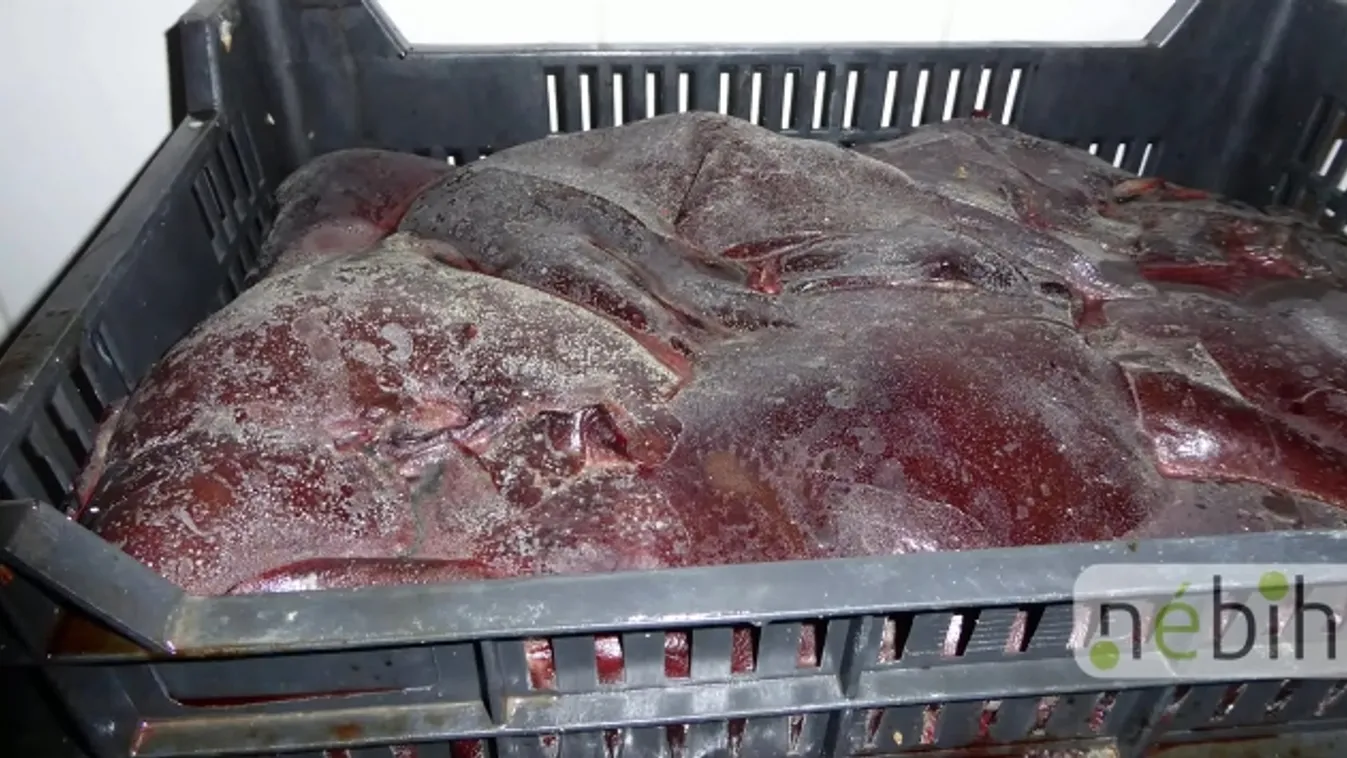 Csak erős gyomrúaknak: kényszerpihenőre küldték a vágóhidat