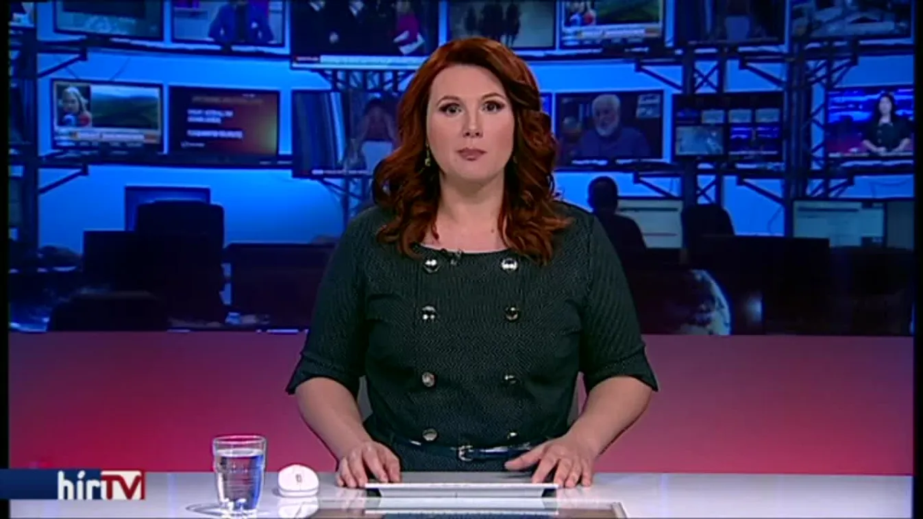 Egy órán belül elfogták a tolvajt