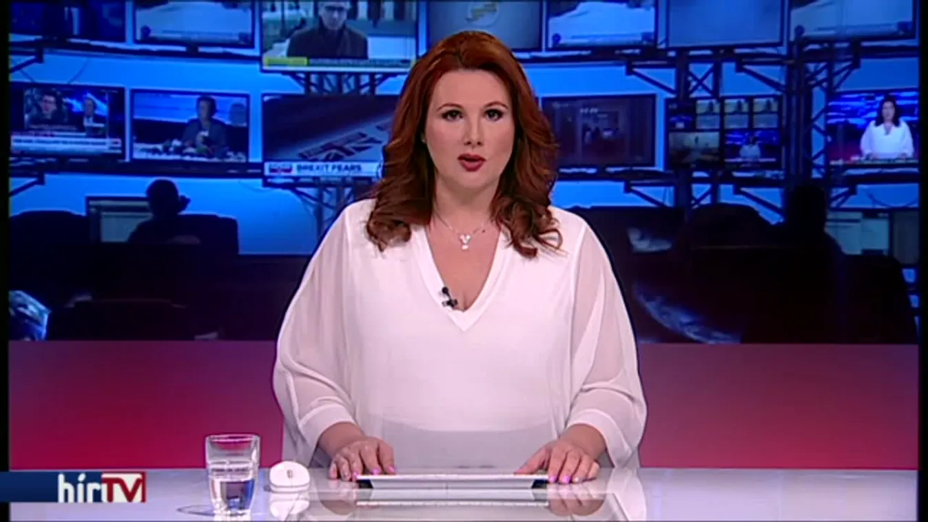 Nacsa: Brüsszel minden eszközzel fellép a bevándorlásellenes országok ellen