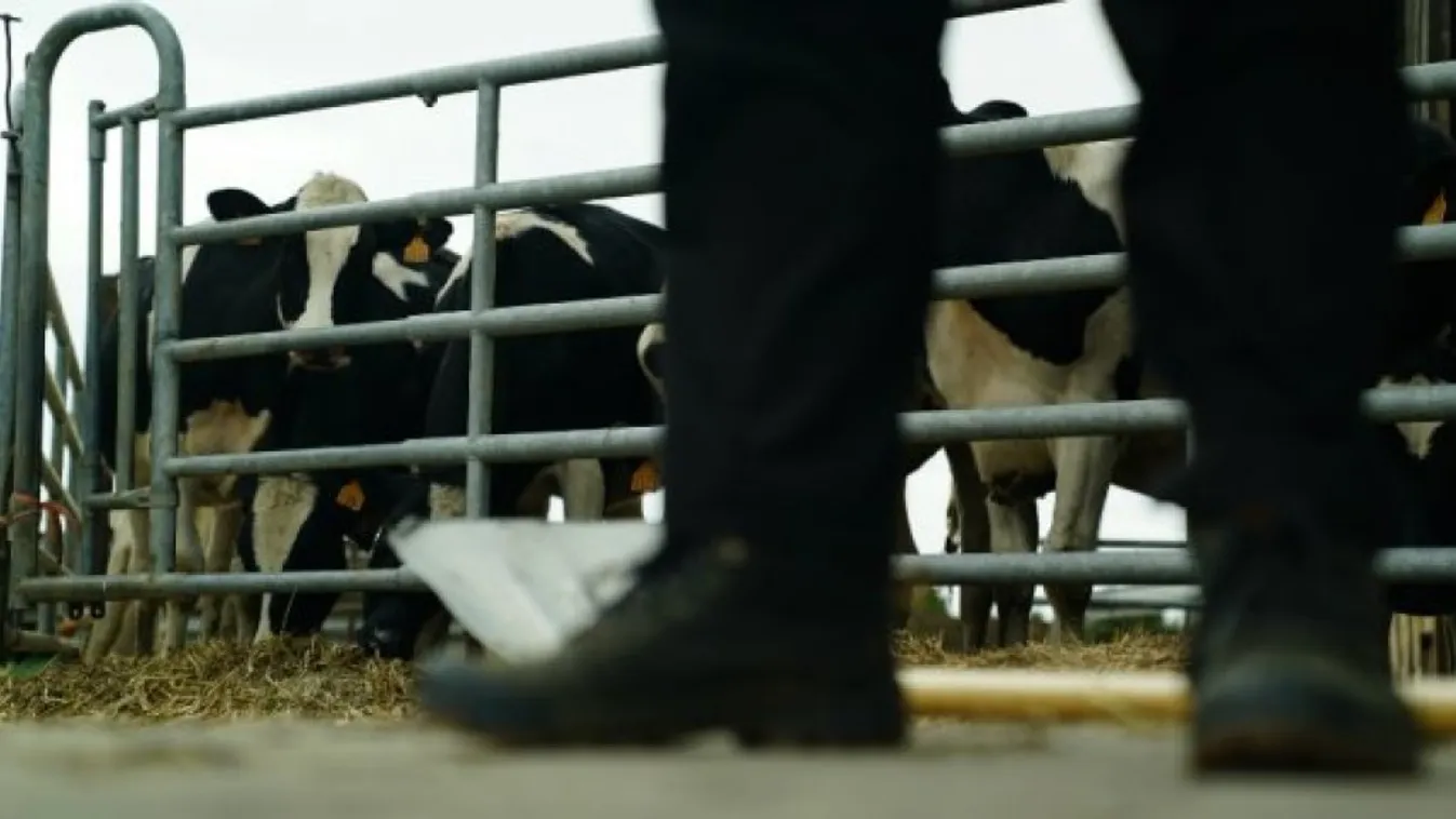 Macron Franciaországán öngyilkossági hullám söpör végig