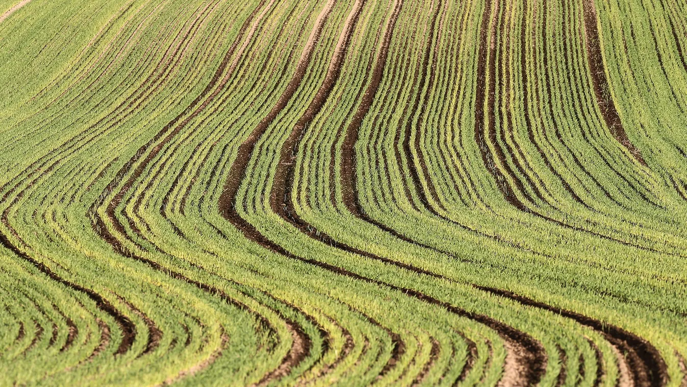 A termőföldtől az asztalig – Soroló
