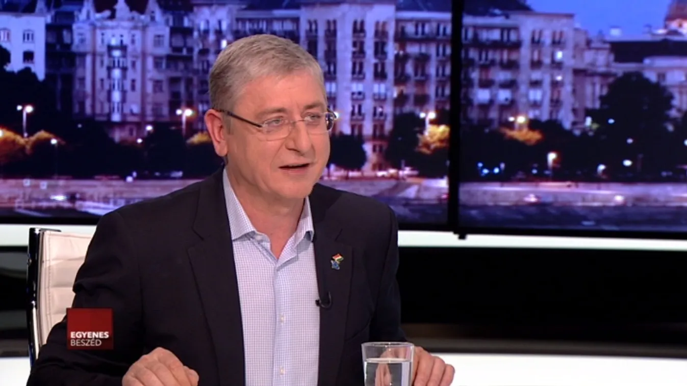 Gyurcsány szerint több Jobbik is van Magyarországon