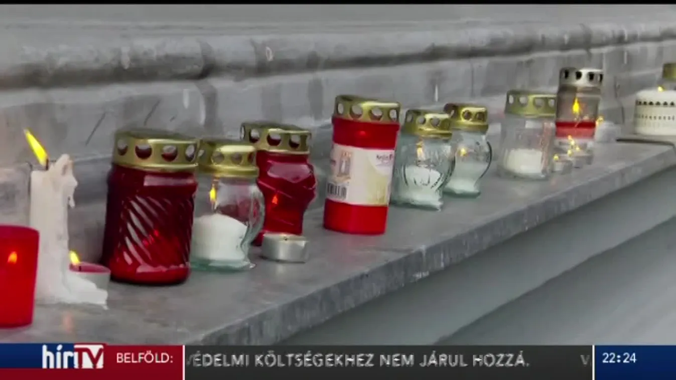 Schmidt Mária: A világ mindenkori kommunistái csuklóztatni akarnak minket