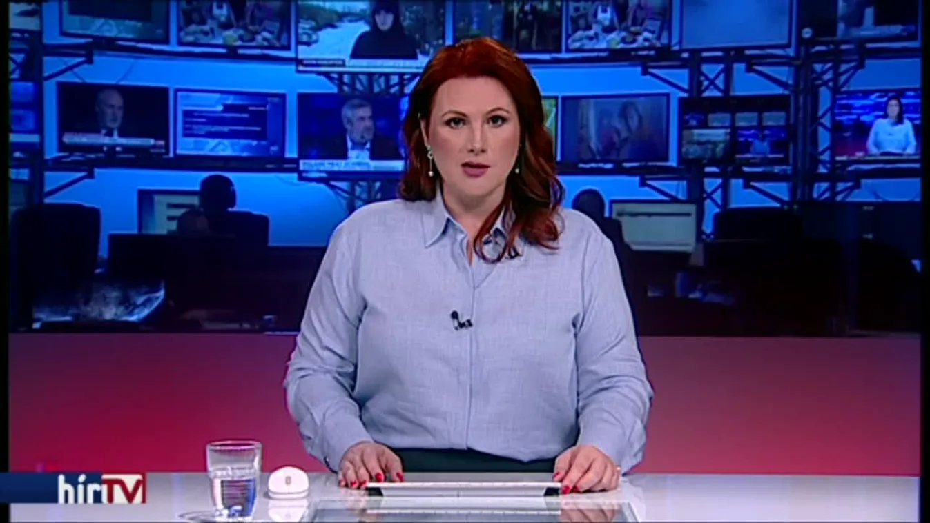 A rendőri erőszak ellen tüntettek a sárga mellényesek