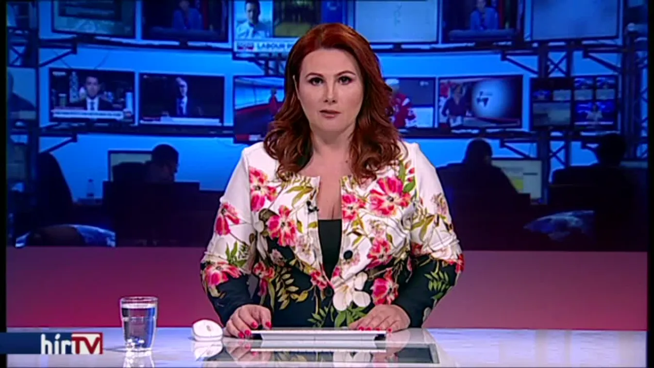 Bundestag-alelnök: Ne zárják ki a Fideszt az Európai Néppártból