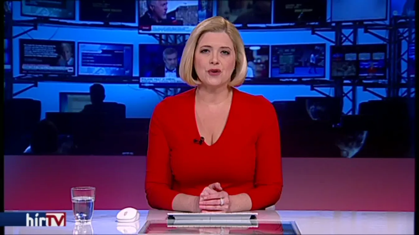 Medveprogramokkal várják a családokat országszerte