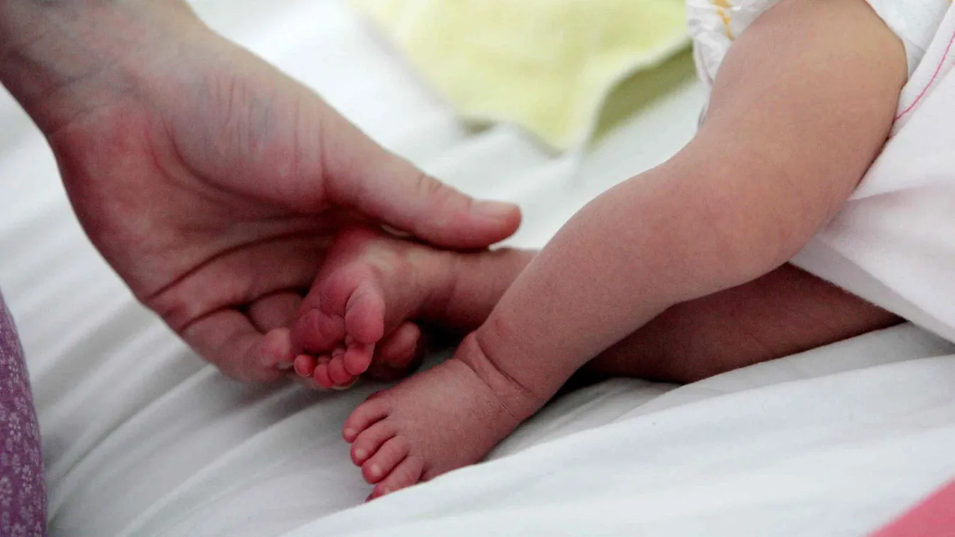 Jelentősen bővülnek a családok lehetőségei