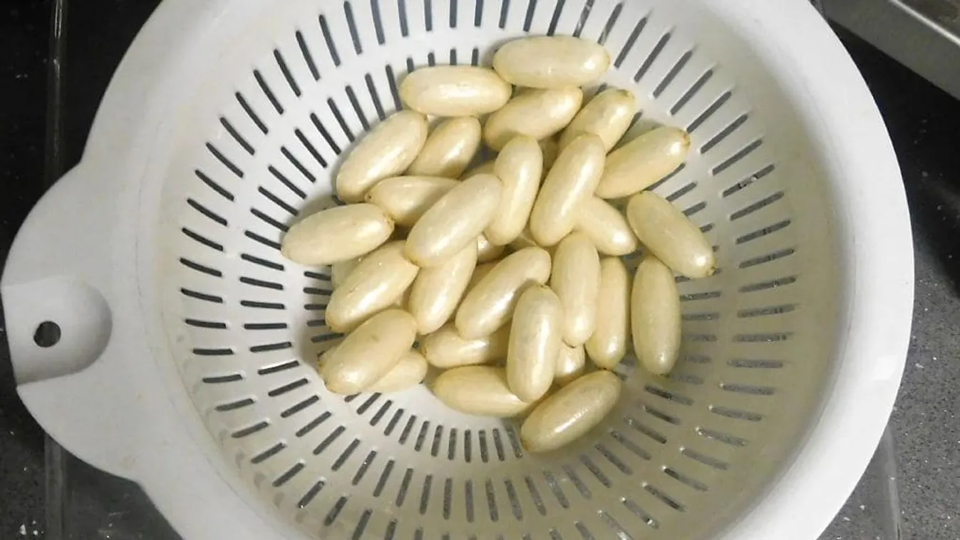 Kokót a kotonba rejtve bukott le a csempésznő