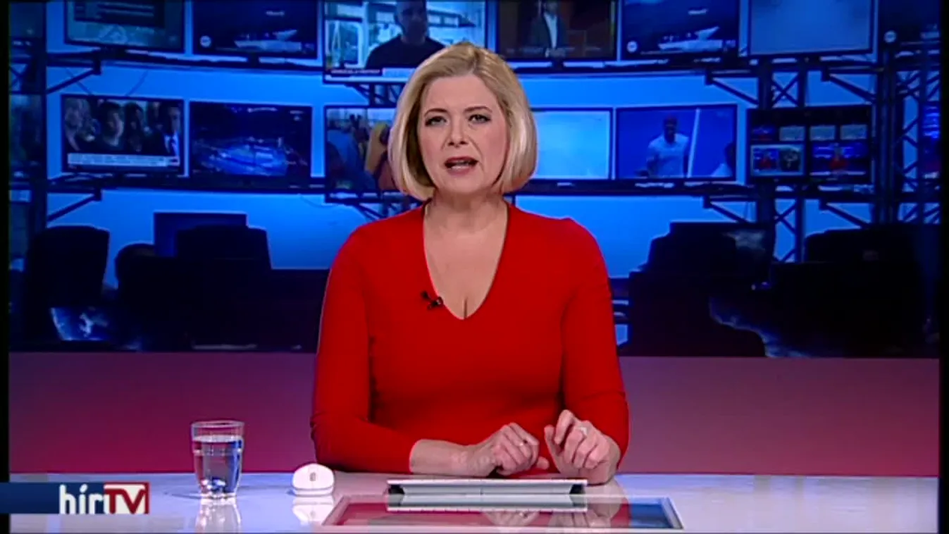 Medveprogramokkal várják a családokat országszerte