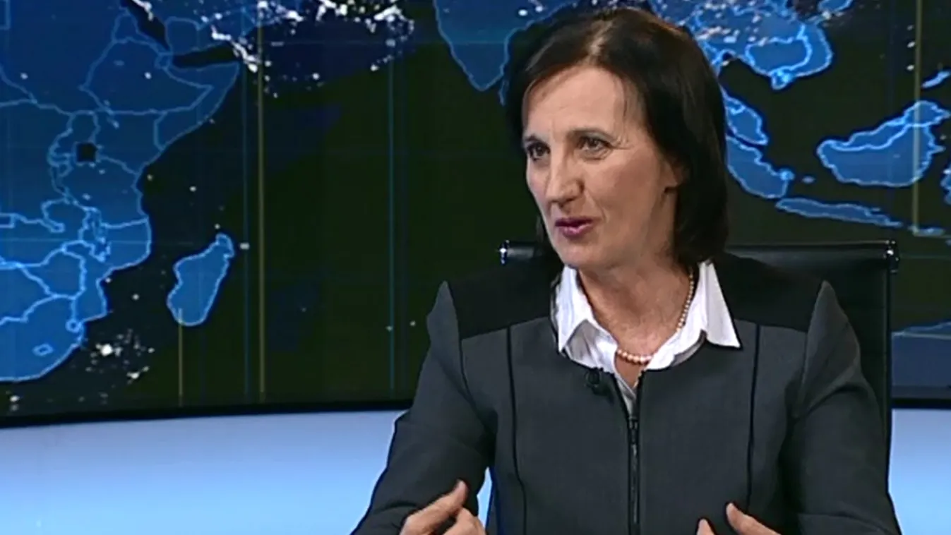Horváth Ildikó: Van egy szürke zóna, amelynek felderítése sarkalatos kérdés